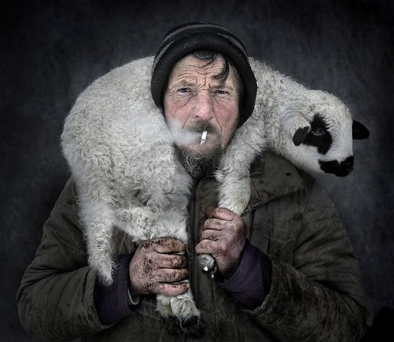 Life with lamb — Istvan Kerekes, Hungary