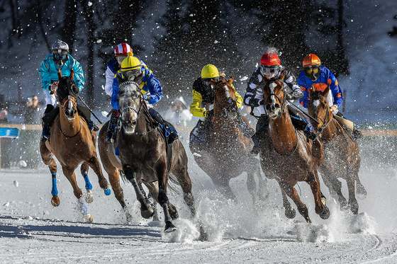 Whiteturf 41 — Dario Riva, Italy