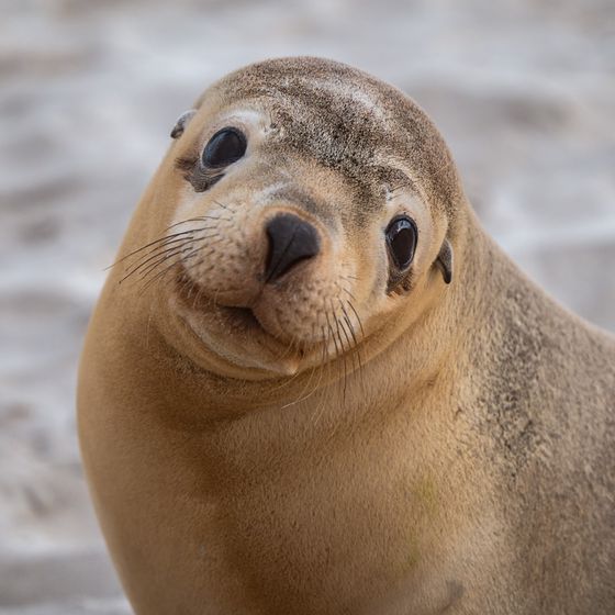 I am just the cutest — Gail McTaggart, Australia