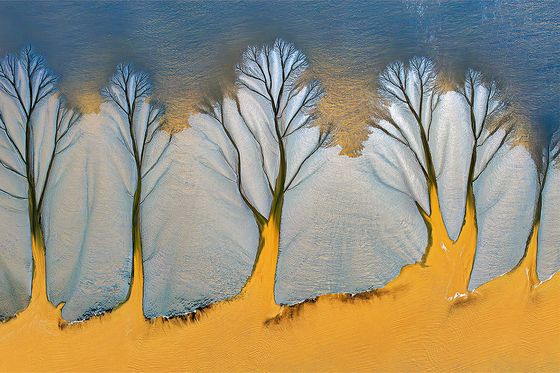 Tidal tree of Qiantang River — Jenqhorng Liang, Taiwan