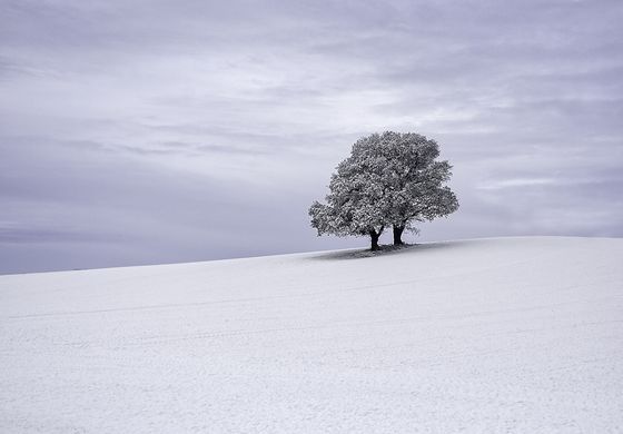 First Dusting Of Snow — Adrian Moore, England