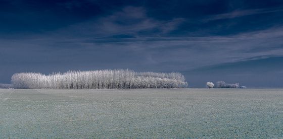 Hoarfrosting — Vilmos Feher, Hungary