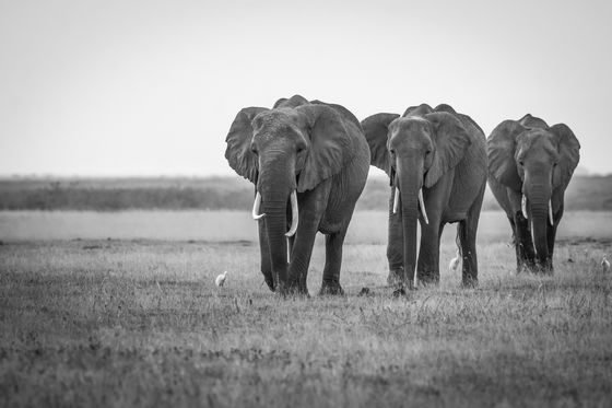 We Are Three — Sanath Kumar, India